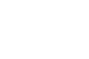 LEVELUP WHITELOGO