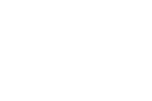 LOGO THEAGENCIES